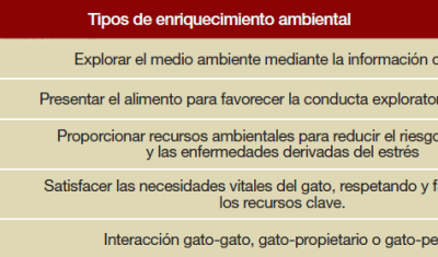 cambios positivos de comportamiento asociados al enriquecimiento