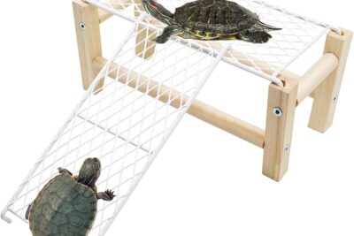 caminitos de escalada disenados especialmente para tortugas