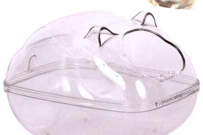 capsulas innovadoras y divertidas para hamsters activos