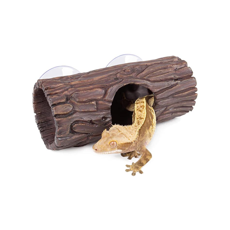 Casitas de juego para iguanas: la mejor opción de bienestar 1 casitas de juego para iguanas la mejor opcion de bienestar