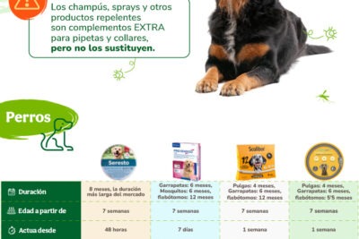 collares para reptiles son seguros y necesarios para tus mascotas