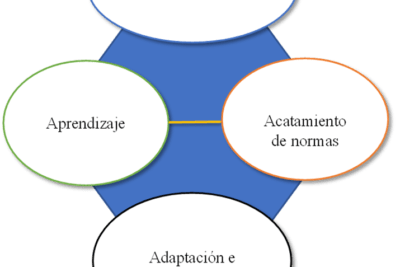 como adaptar el enfoque de socializacion a cada especie