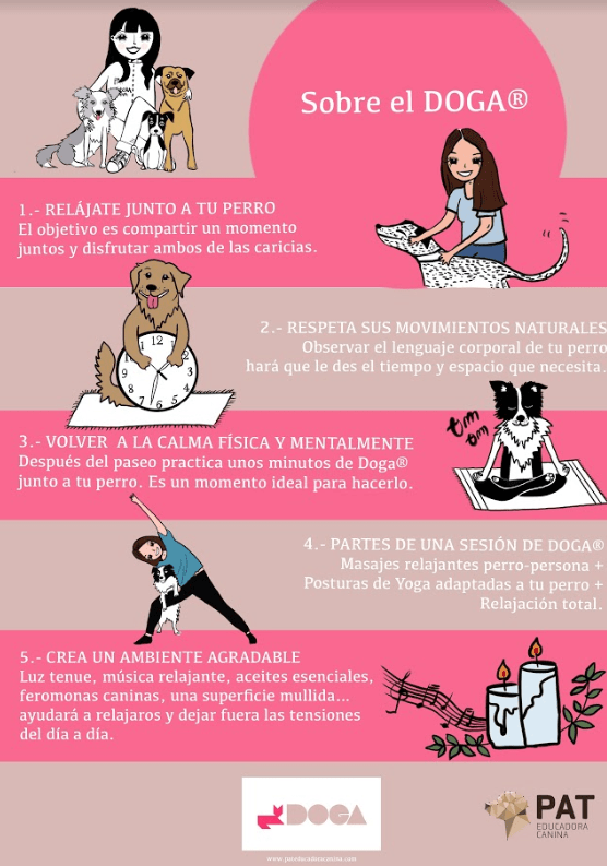 como crear una rutina de relajacion para tu mascota