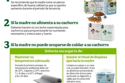 como deben manejarse las crias despues de su nacimiento
