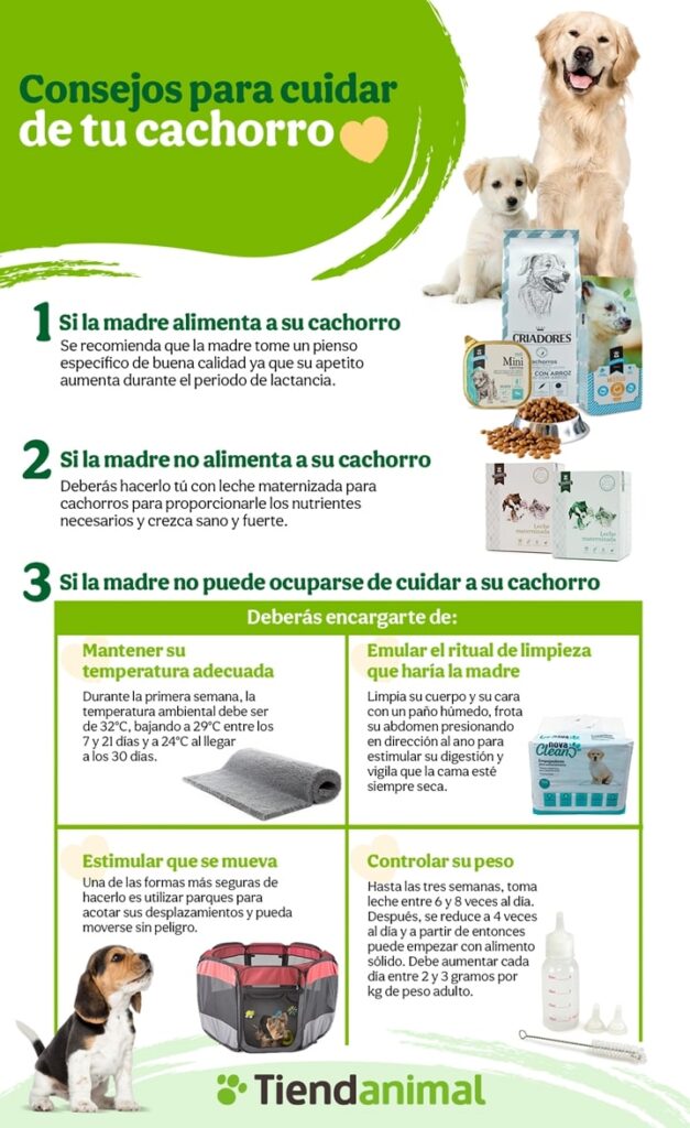 como deben manejarse las crias despues de su nacimiento