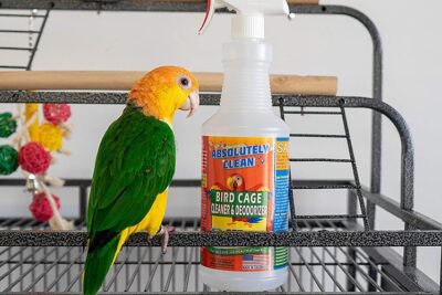 como desinfectar adecuadamente una jaula de pajaros