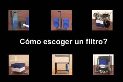 como elegir el filtro adecuado para un terrario acuatico