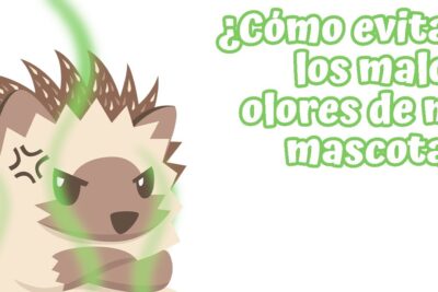 como eliminar olores desagradables de la jaula de un erizo