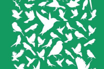 como entender el comportamiento de los pajaros