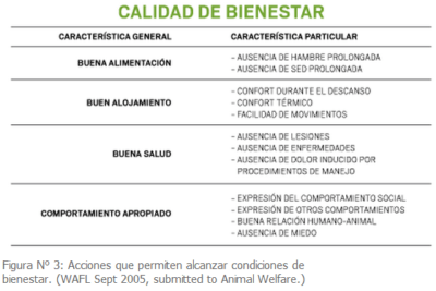 como evaluar la calidad del habitat de tu mascota
