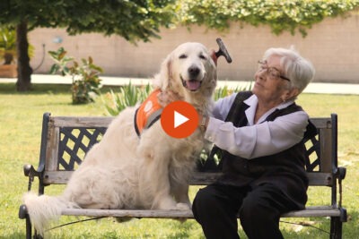 como fomentar la interaccion entre mascotas y personas