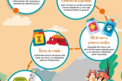 como garantizar la salud mental de tu mascota al viajar