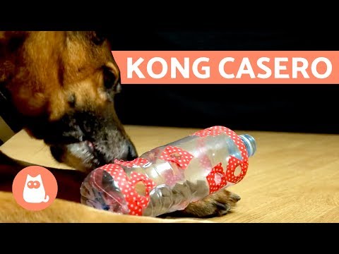 como hacer juguetes caseros para tus mascotas