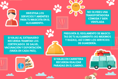 como hacer un itinerario de viaje amigable para animales