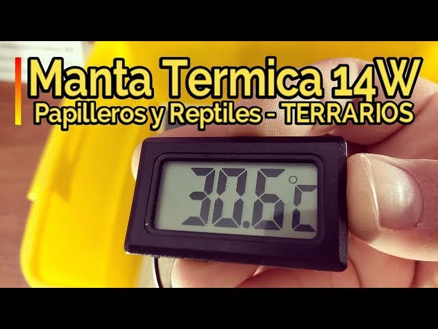 Cómo hacer un monitor de temperatura DIY para reptiles 1 como hacer un monitor de temperatura diy para reptiles