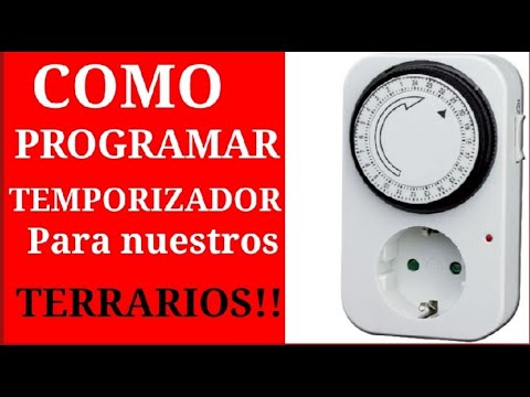Cómo hacer un temporizador para las luces del terrario 1 como hacer un temporizador para las luces del terrario