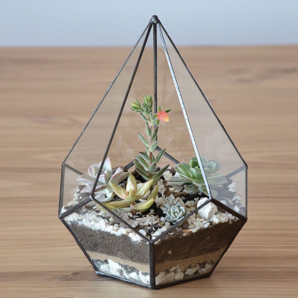 Cómo hacer una estructura de soporte en un terrario 1 como hacer una estructura de soporte en un terrario