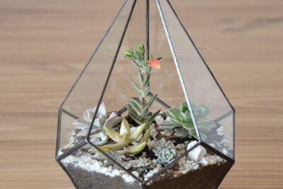 como hacer una estructura de soporte en un terrario