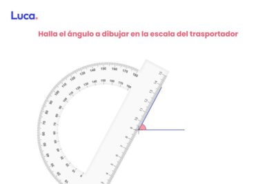 como identificar si un transportador es de calidad
