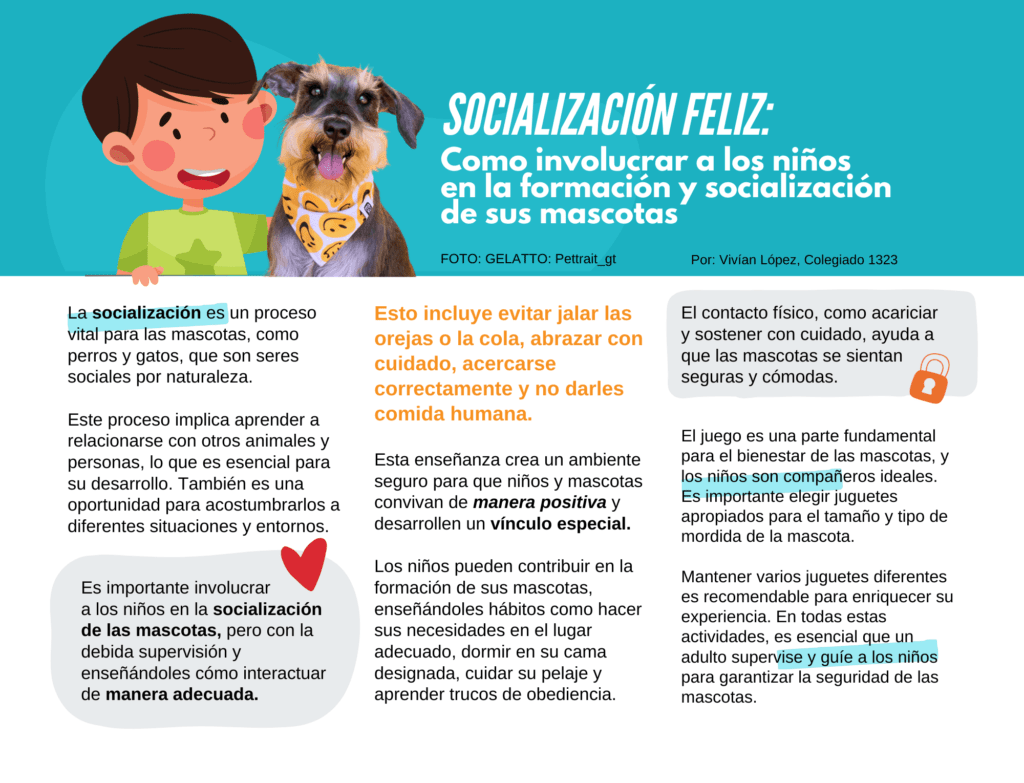 como involucrar a los ninos en la socializacion de mascotas