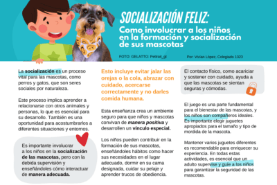 como involucrar a los ninos en la socializacion de mascotas