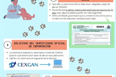 como planificar un viaje seguro con mascotas exoticas
