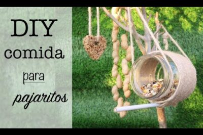 como preparar un platillo equilibrado para pajaros