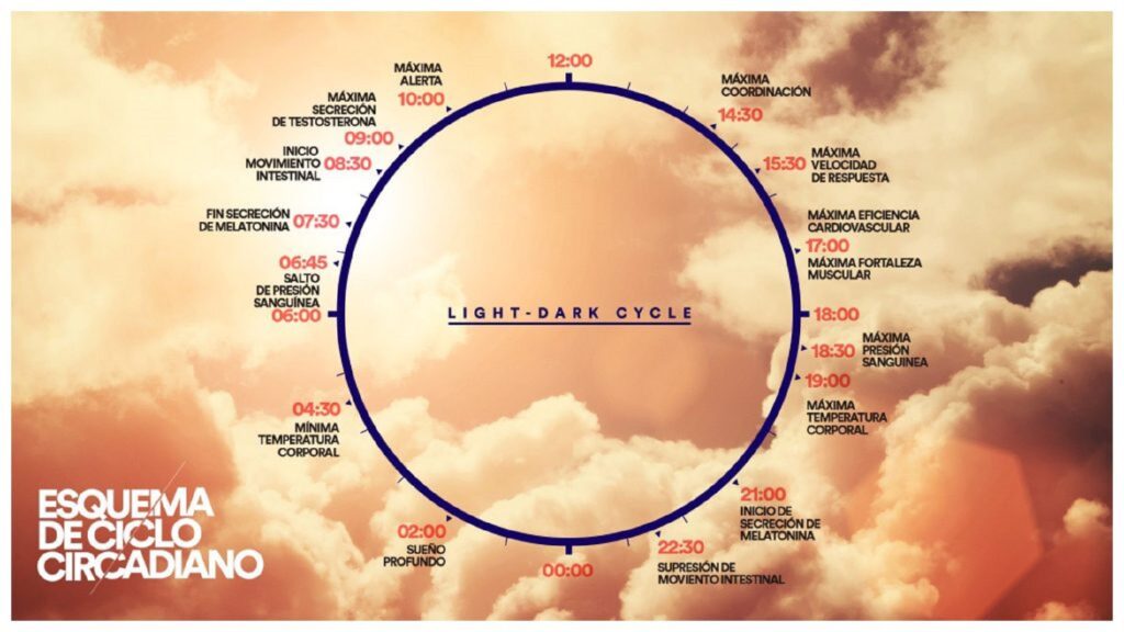 como pueden las luces impactar el ciclo circadiano