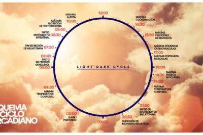 como pueden las luces impactar el ciclo circadiano