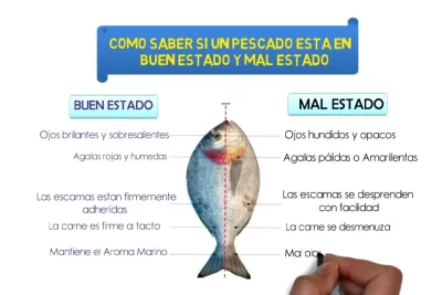 como reconocer los sintomas de intoxicacion en peces