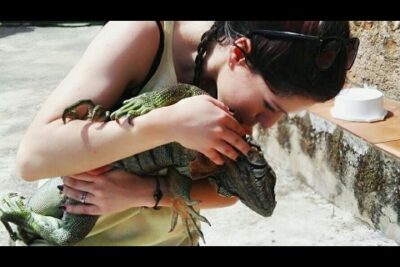 como recortar las unas de un lagarto sin lastimarlo