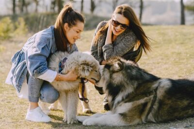 como socializar con otros duenos de mascotas exoticas