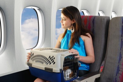 compania aerea recomendada para animales exoticos