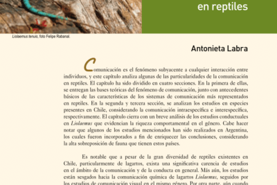 comunicacion no verbal de los reptiles un analisis complejo