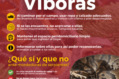 consejos para el transporte de serpientes venenosas
