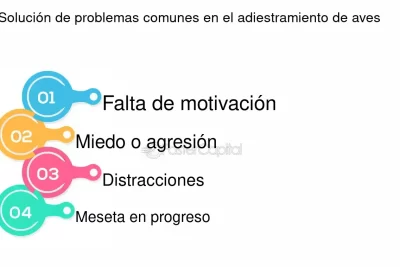 consejos para jugar con tu ave sin asustarla demasiado