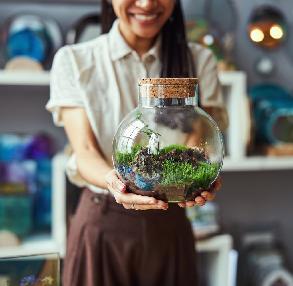 consejos para prevenir el moho en terrarios caseros