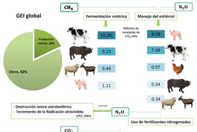 consideraciones climaticas en el transporte de mascotas