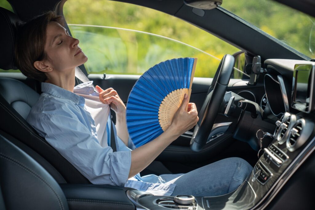 controles para regular la temperatura en viajes largos en auto
