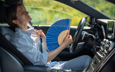 controles para regular la temperatura en viajes largos en auto