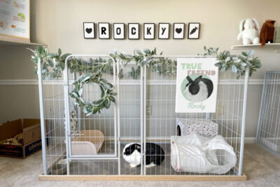 creativas ideas para jaulas decorativas de mascotas