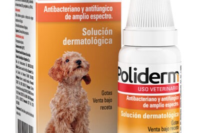 cual es el tratamiento para la dermatitis en roedores