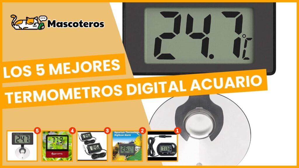 cuales son los mejores termometros digitales para acuarios