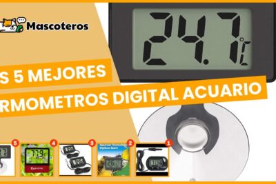cuales son los mejores termometros digitales para acuarios