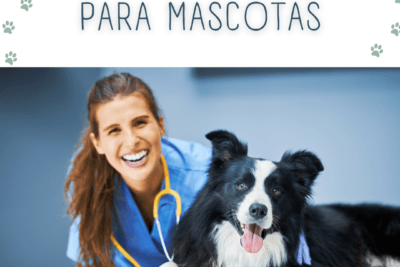 cuando buscar ayuda profesional para examenes en mascotas
