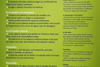 cuanto ejercicio es demasiado para especies exoticas