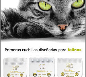 cuchillas para grooming guia esencial para perros y gatos