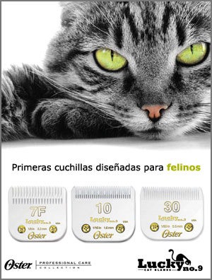 Cuchillas para grooming: Guía esencial para perros y gatos 1 cuchillas para grooming guia esencial para perros y gatos