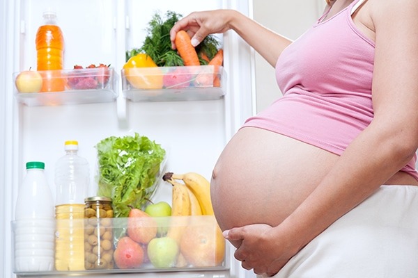 cuidados alimentarios esenciales para hembras gestantes