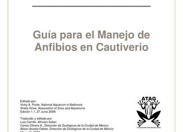 cuidados esenciales para crias de anfibios guia completa